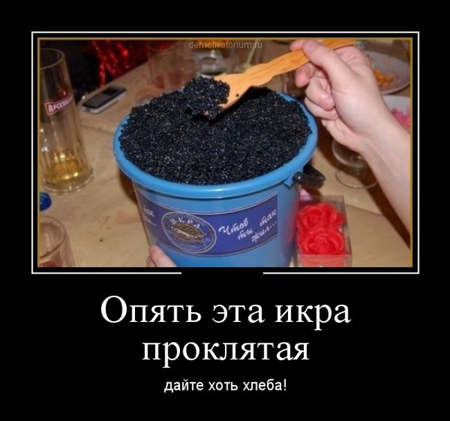 Демотиваторы четверга (30 картинок)