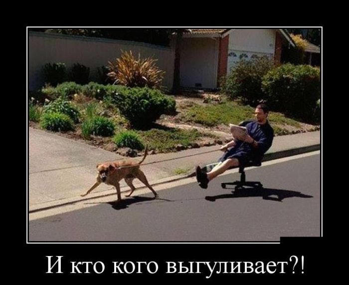 Демотиваторы четверга (30 картинок)