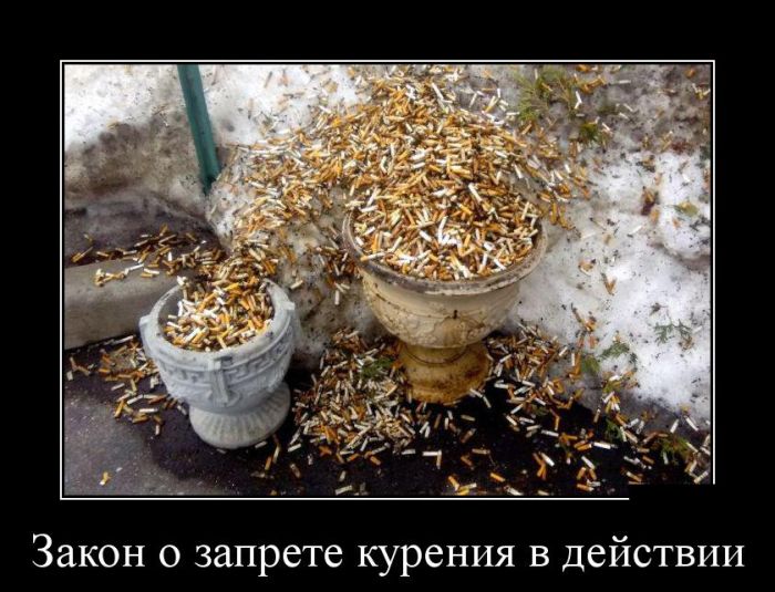 Демотиваторы четверга (30 картинок)