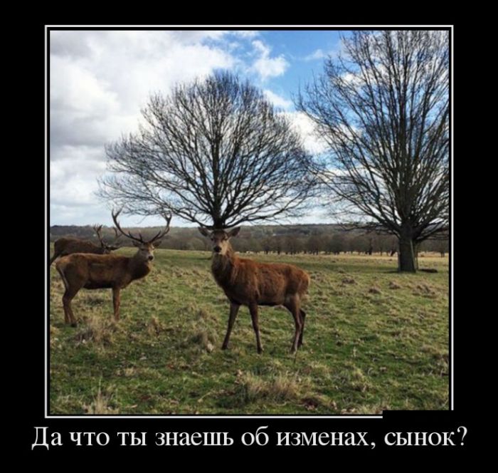 Демотиваторы среды (30 картинок)
