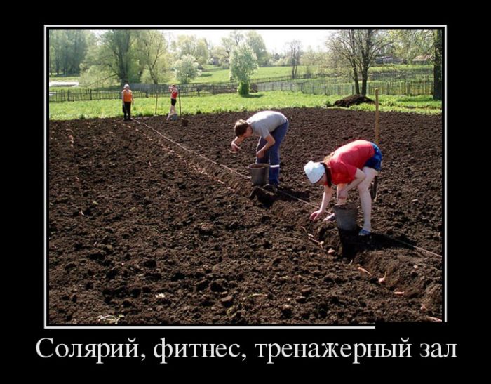 Демотиваторы среды (30 картинок)