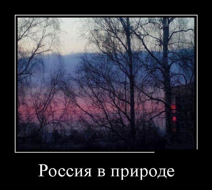 Демотиваторы среды (30 картинок)