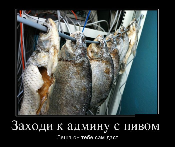 Демотиваторы среды (30 картинок)
