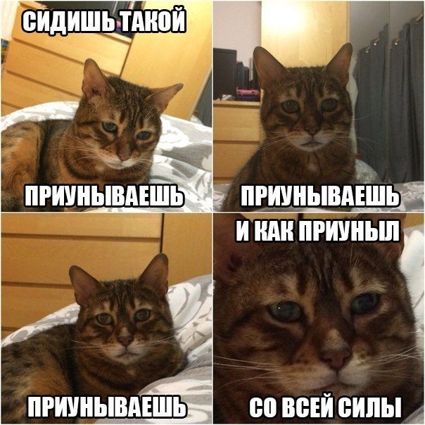 Подборка прикольных картинок из социальных сетей пятницы (30 фото)