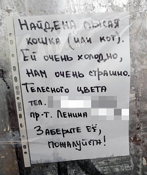 Подборка прикольных картинок из социальных сетей пятницы (30 фото)