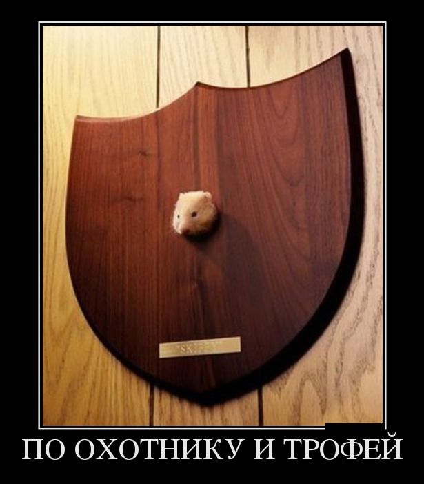Демотиваторы пятницы (30 картинок)
