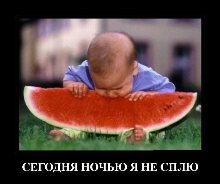 Демотиваторы пятницы (30 картинок)