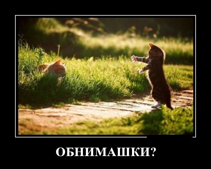 Демотиваторы пятницы (30 картинок)