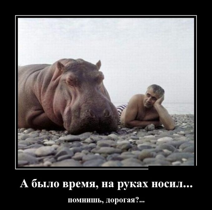Демотиваторы пятницы (30 картинок)