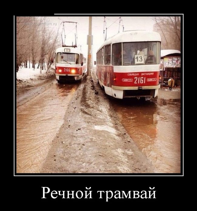 Демотиваторы пятницы (30 картинок)