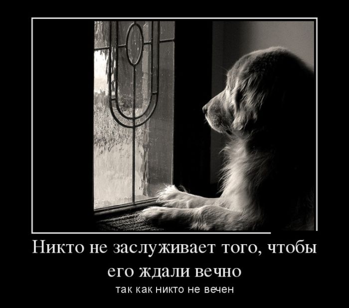Демотиваторы пятницы (30 картинок)