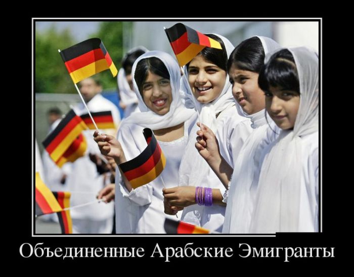 Демотиваторы пятницы (30 картинок)