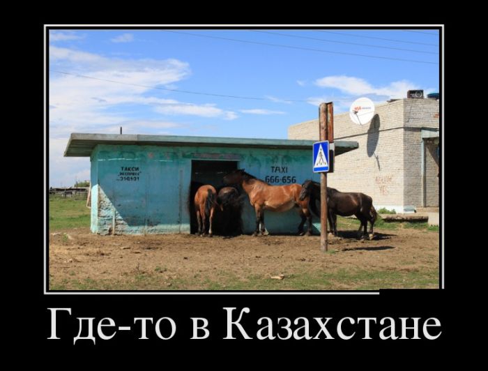 Демотиваторы четверга (30 картинок)