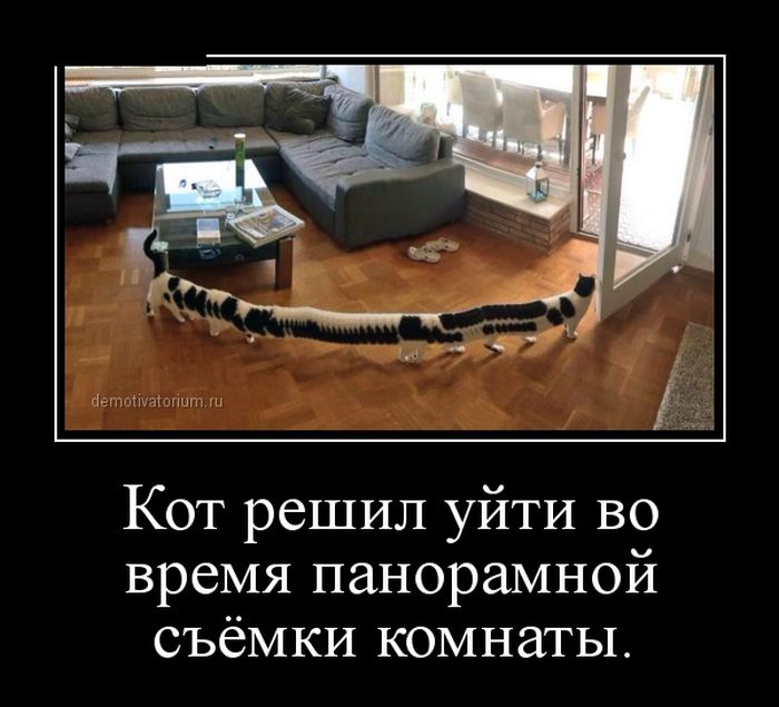Демотиваторы четверга (30 картинок)
