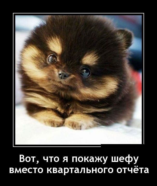 Демотиваторы пятницы (30 картинок)