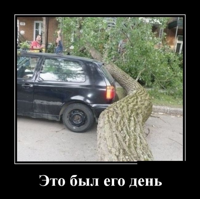 Демотиваторы пятницы (30 картинок)