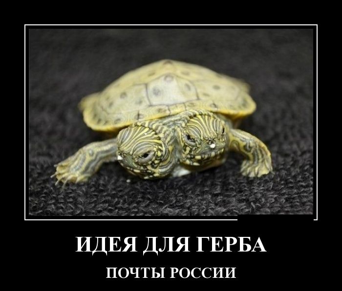 Демотиваторы пятницы (30 картинок)