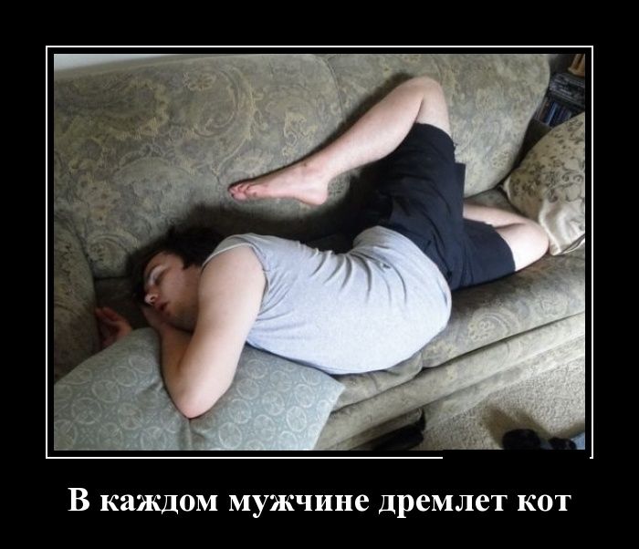 Демотиваторы пятницы (30 картинок)