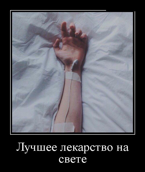 Демотиваторы пятницы (30 картинок)