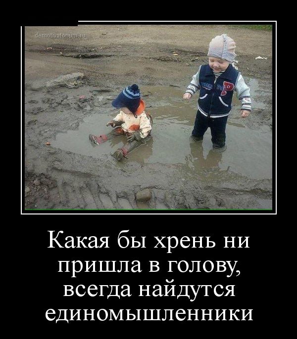 Демотиваторы пятницы (30 картинок)
