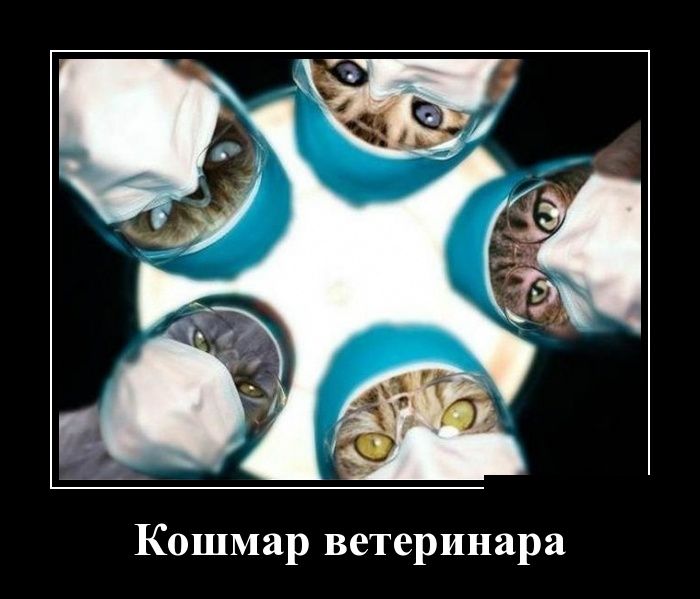Демотиваторы пятницы (30 картинок)