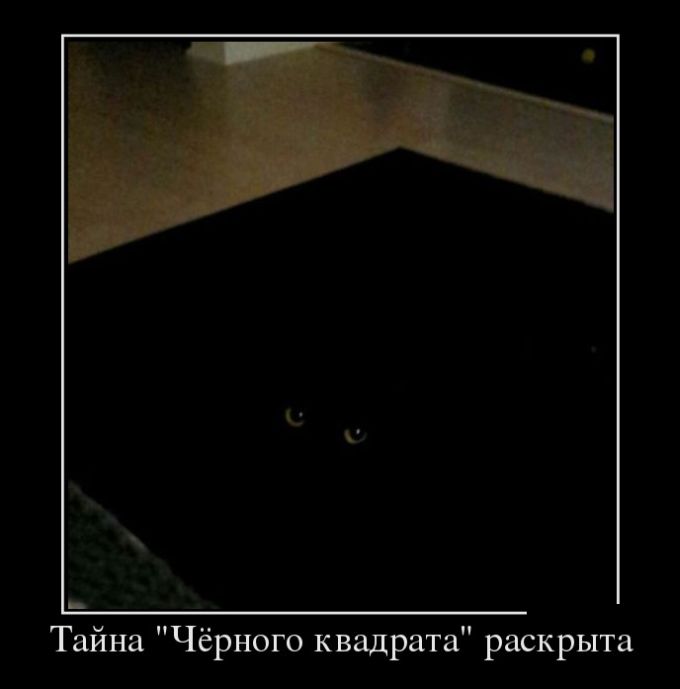 Демотиваторы пятницы (30 картинок)