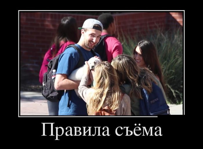 Демотиваторы среды (30 картинок)