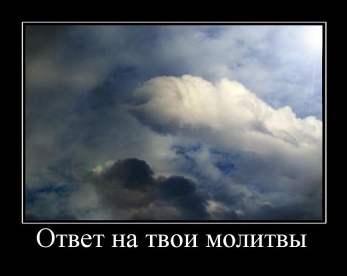 Демотиваторы среды (30 картинок)