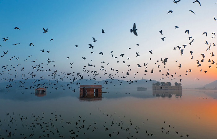 10     National Geographic 2015