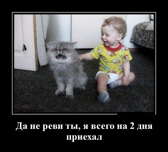 ������������ ����� (30 ��������)