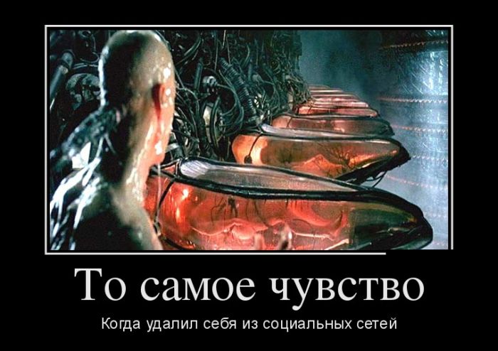 Демотиваторы пятницы (30 картинок)
