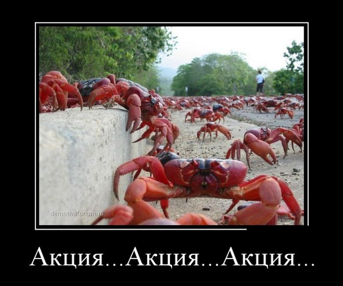 Демотиваторы пятницы (30 картинок)