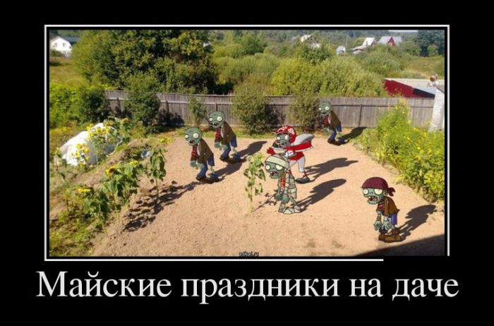 Демотиваторы пятницы (30 картинок)