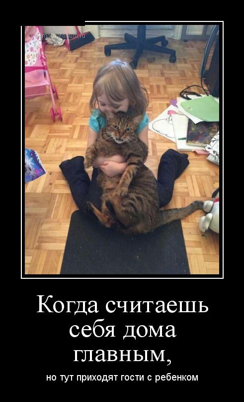 Демотиваторы пятницы (30 картинок)
