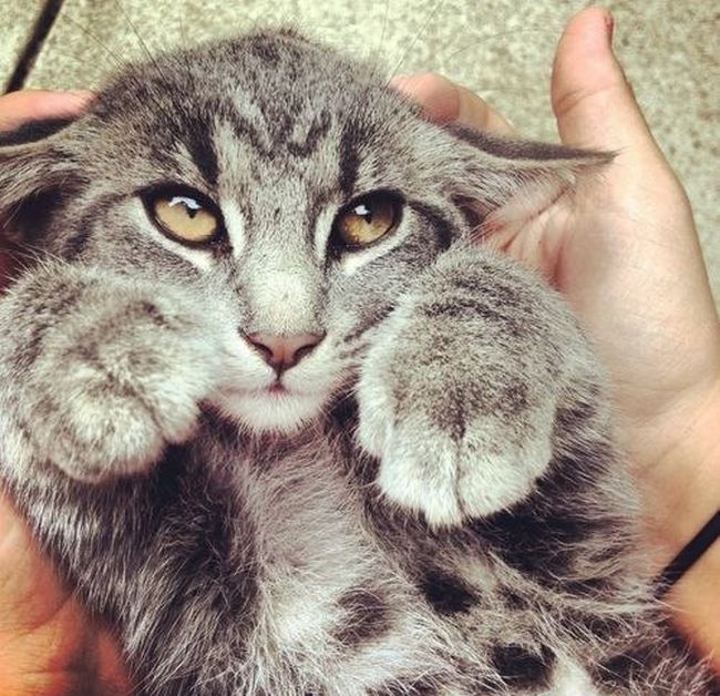 �������� ���������� �������� �� ���������� ����� �������� (30 ����)