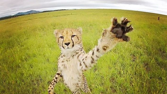 �������� ���������� �������� �� ���������� ����� �������� (30 ����)