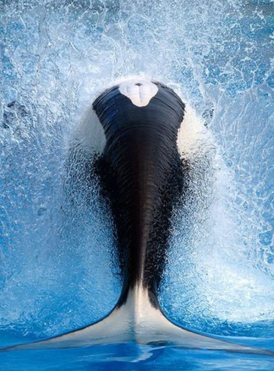 �������� ���������� �������� �� ���������� ����� �������� (30 ����)