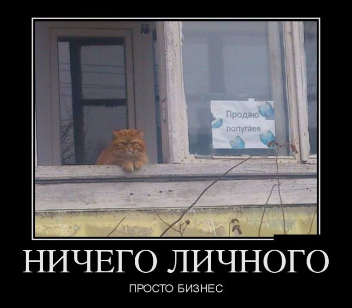 Демотиваторы вторника (30 картинок)