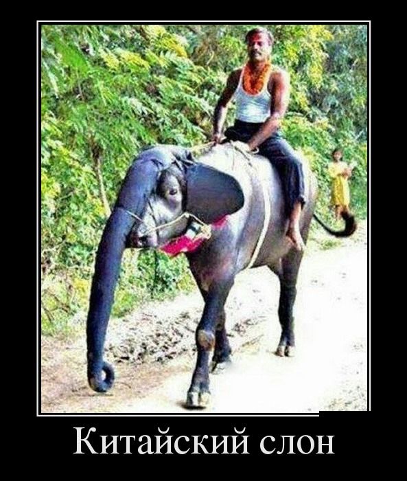 Демотиваторы вторника (30 картинок)
