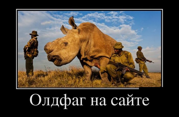 Демотиваторы вторника (30 картинок)