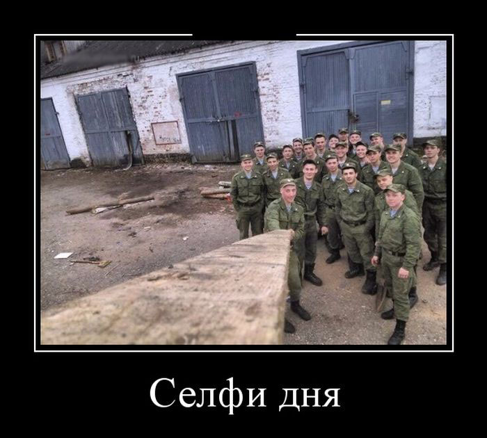 Демотиваторы вторника (30 картинок)