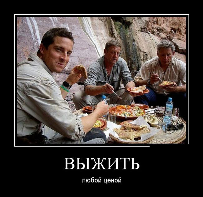 Демотиваторы вторника (30 картинок)