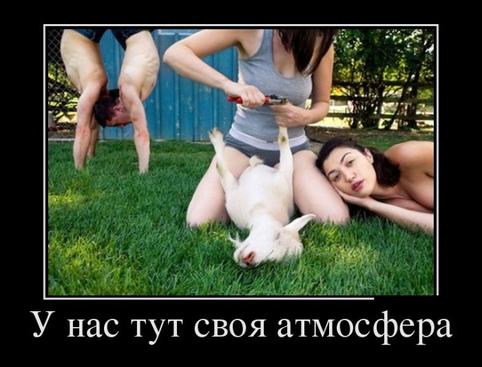 Демотиваторы вторника (30 картинок)