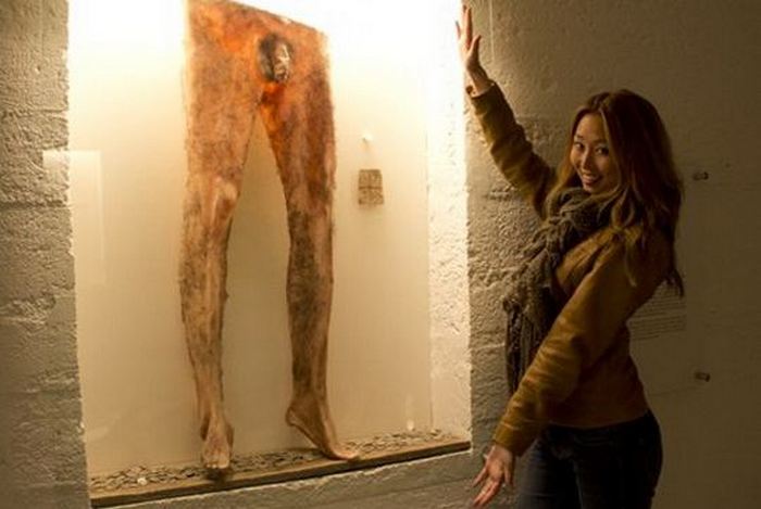 10 ����������� ���������� �� ����� ������ �����, ������� ��������� ���� �� ��� ����