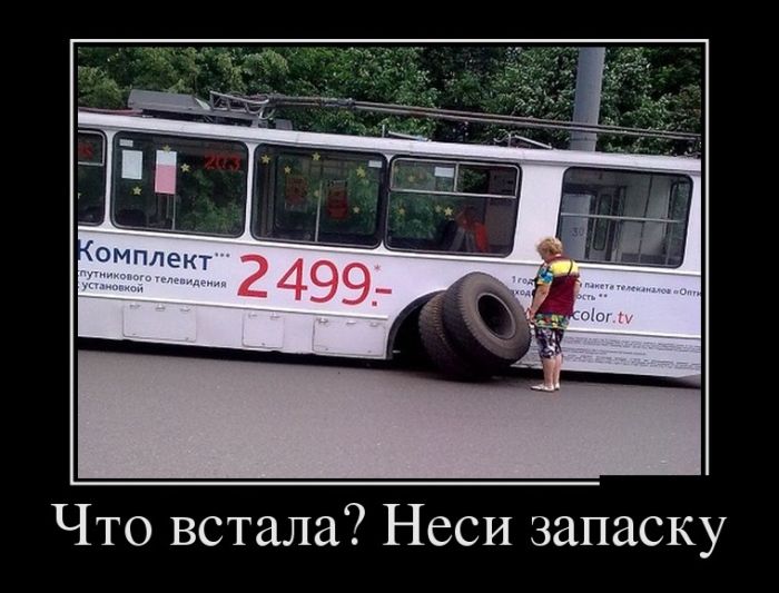 Демотиваторы четверга (30 картинок)