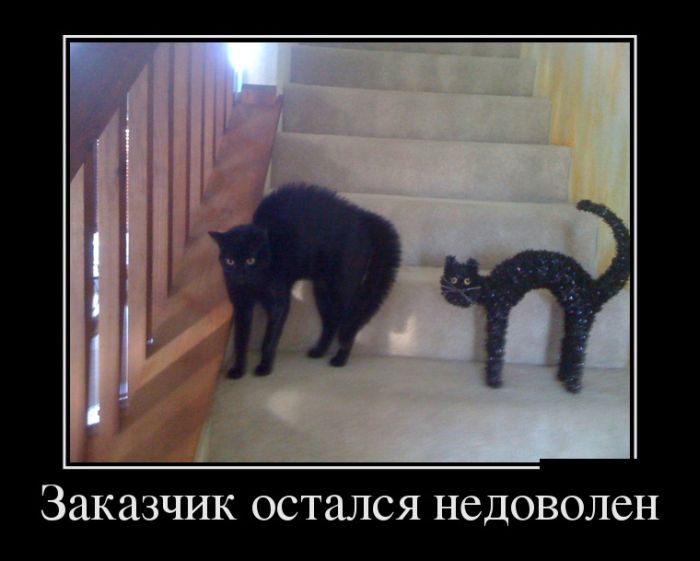 Демотиваторы четверга (30 картинок)