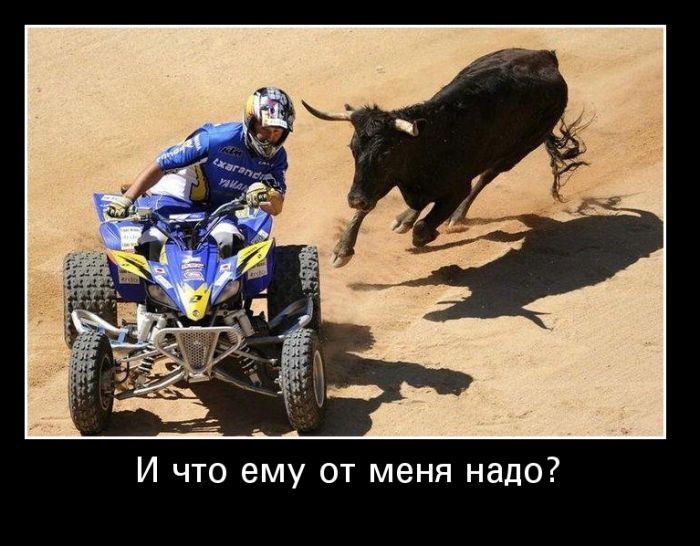 Демотиваторы четверга (30 картинок)