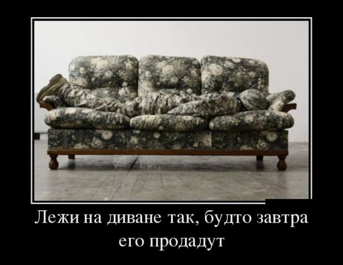 Демотиваторы четверга (30 картинок)