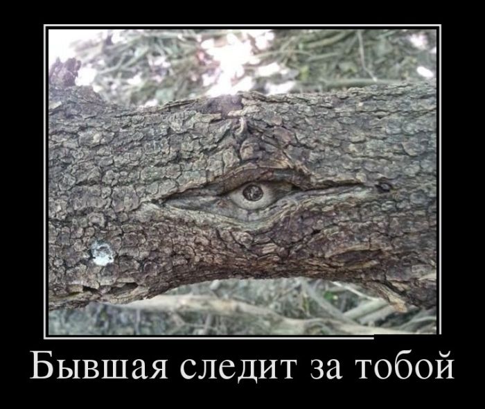 Демотиваторы четверга (30 картинок)