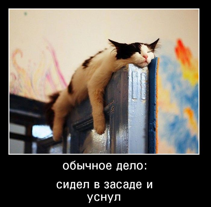 Демотиваторы четверга (30 картинок)